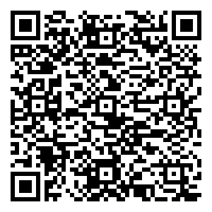 微信南方摇钱树小程序游戏二维码