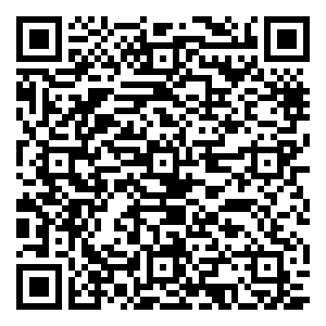 微信星展银行陆家嘴公益市集小程序游戏二维码