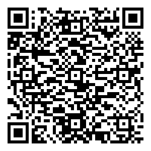 微信鹏爱整点摇钱树小程序游戏二维码