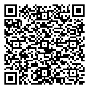 微信Free-小巧玲珑天生大容量-神奇扭蛋机（8月青岛）小程序游戏二维码