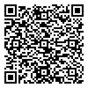 微信抓饼攻略小程序游戏二维码