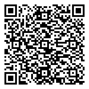 微信导盲犬爱心拼团购！小程序游戏二维码