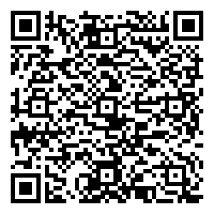 微信【娅丽达】会员日钜惠3人团小程序游戏二维码