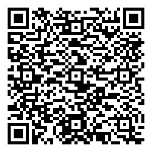 微信粽能抓到你（普通场）小程序游戏二维码