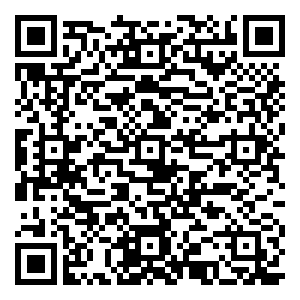 微信双十一放肆嗨小程序游戏二维码