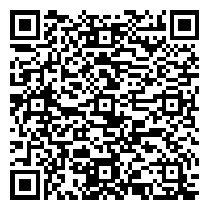 微信抓饼攻略小程序游戏二维码