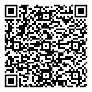 微信X先生的抓饼攻略小程序游戏二维码