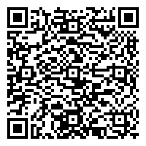 微信抓饼攻略小程序游戏二维码