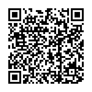 微信投票，名珏公寓第二套民宿投票投票案例二维码