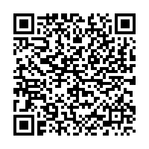 微信投票，2019萍乡装饰建材行业网络评选投票案例二维码