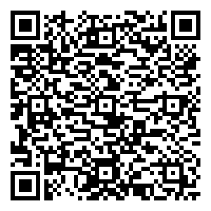 微信公园1953 致敬完美女神小程序游戏二维码