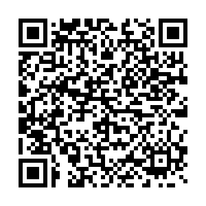 微信投票，考拉之星语言才艺大赛投票案例二维码