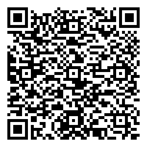 微信双11召唤机小程序游戏二维码