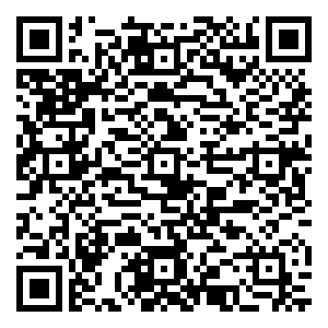 微信共青城红宝石商业街小程序游戏二维码