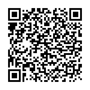 微信投票，铂瑞兹酒店第二届最佳人气女神投票案例二维码