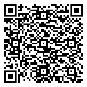 微信阿拉小优猜灯谜闹元宵 — 临淮小程序游戏二维码