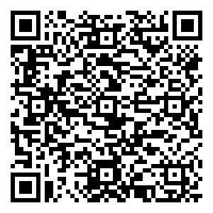 微信鲍店煤矿给您拜年啦小程序游戏二维码