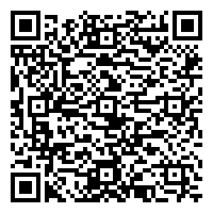 微信鞍山电信双十一大抽奖小程序游戏二维码