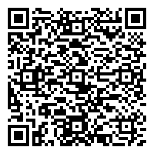 微信Free·飞追踪圣美人-中山小程序游戏二维码