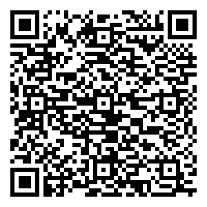 微信安全+锐亿安全门小程序游戏二维码