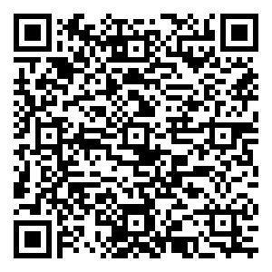 微信鸿岳双11真情回馈新老客户小程序游戏二维码