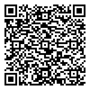 微信大饼TODAMOON小程序游戏二维码