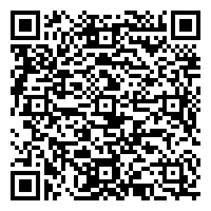 微信红包宠粉节小程序游戏二维码