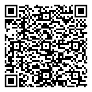 微信Free-小巧玲珑天生大容量-神奇扭蛋机（长沙赤岗店）小程序游戏二维码