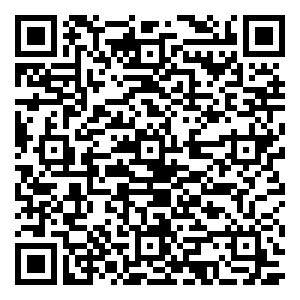 微信东岭·新天地乐庭娃娃机小程序游戏二维码