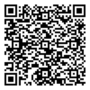 微信FREE飞 满血复活（乌鲁木齐2）小程序游戏二维码