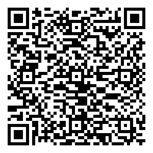 微信合胜双11红包任性摇小程序游戏二维码