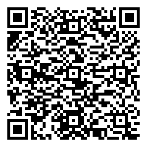 微信天降泰礼·转盘抽奖小程序游戏二维码