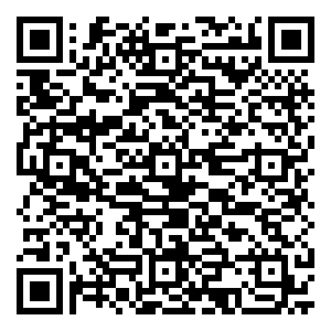 微信安全+锐亿安全门小程序游戏二维码