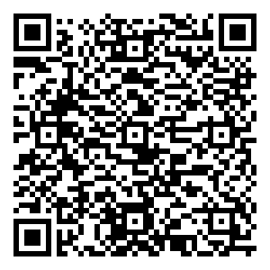 微信抓饼攻略小程序游戏二维码