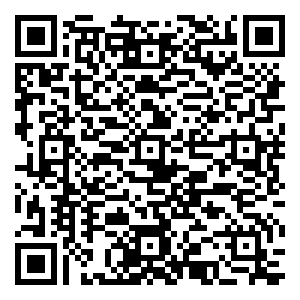 微信麦迪逊11周年1.1元唱小程序游戏二维码