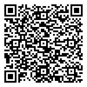 微信四川新生命干细胞公司端午活动----粽能抓到你小程序游戏二维码