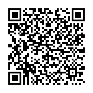 微信投票，渔联国际金牌经销商评选投票案例二维码