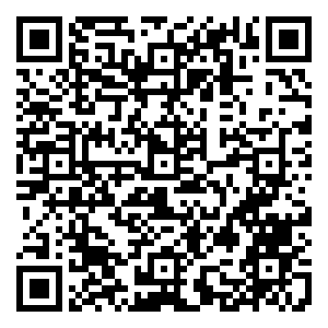 微信 中之杰定制版粽子礼盒限时开抢（3人众筹）小程序游戏二维码