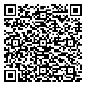 微信老鼎丰端午抢粽子小程序游戏二维码