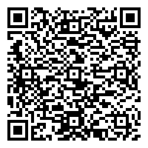 微信萌猪贺岁赢大奖小程序游戏二维码