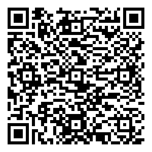 微信千元红包、百份项目免费体验福利“鼠”于你 小程序游戏二维码