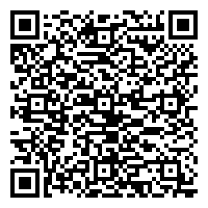 微信放粽跳 赢壕礼小程序游戏二维码