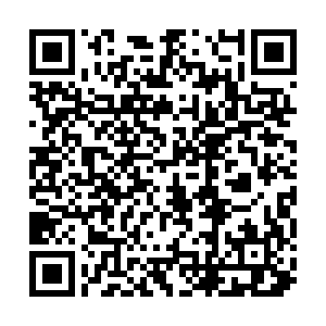 微信投票，最美女神你在哪？投票案例二维码