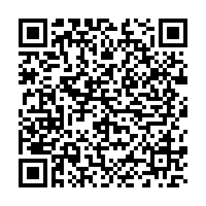 微信投票，刷出唇在感 赢纪梵希口红投票案例二维码