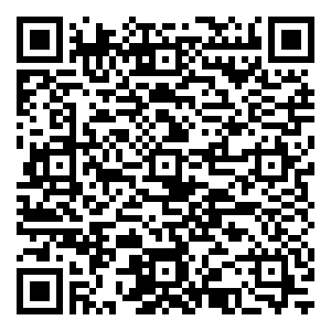 微信倒盏村接“粽”大赛小程序游戏二维码