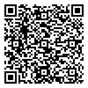 微信岁末福运“猪”·“双十一”秒杀一切！-白城店小程序游戏二维码