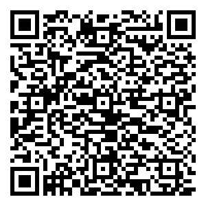 微信任性摇钱树摇出现金红包小程序游戏二维码