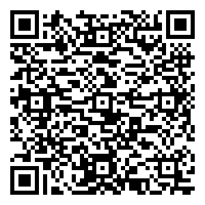 微信粽能抓到你小程序游戏二维码