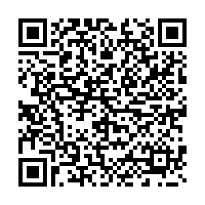 微信投票，我是女王投票案例二维码