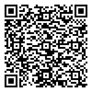 微信丽人13周年院庆感恩回馈小程序游戏二维码